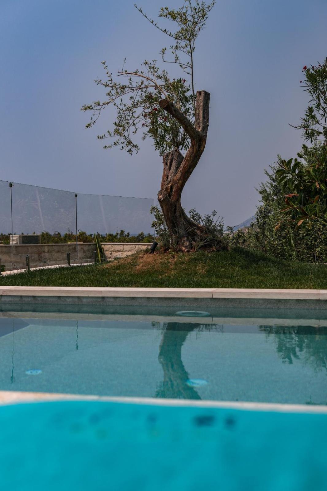 Drymades Inn Resort Dhermi Exterior photo